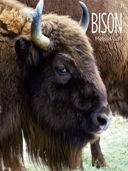 Title details for Bison by Melissa Gish - Available